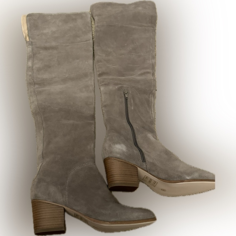 Thigh High Suede Boots